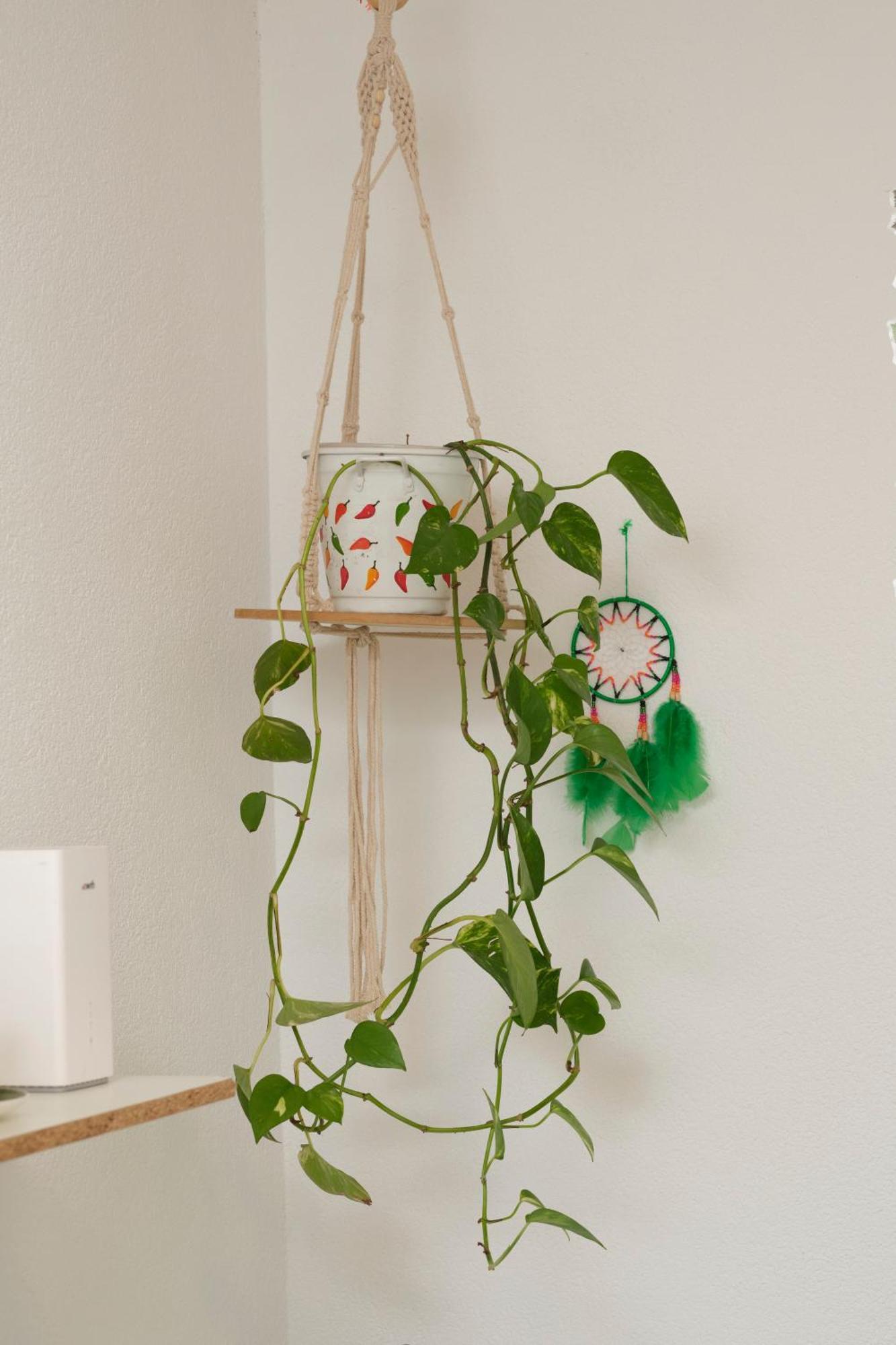 Doppelzimmer Bei Natur & Events Βασιλεία Εξωτερικό φωτογραφία